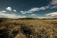 Landschaft 3