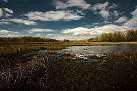 Landschaft 2