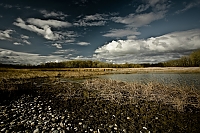 Landschaft 1