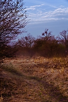 Landschaft 9316