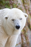 IMG 4165