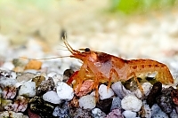 IMG 0753