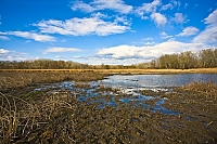 IMG 6769