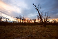 Sonnenaufgang2