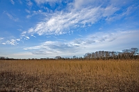 steppe