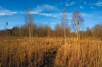weg